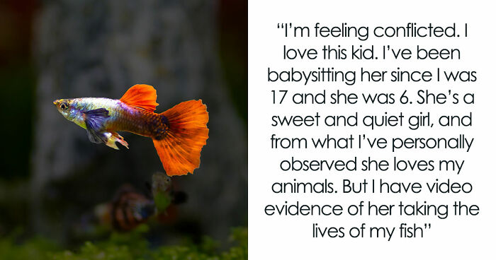 9YO Hurts Babysitter’s Fish And Mom Dismisses It, Babysitter Cuts Her Off And Suggests Therapy