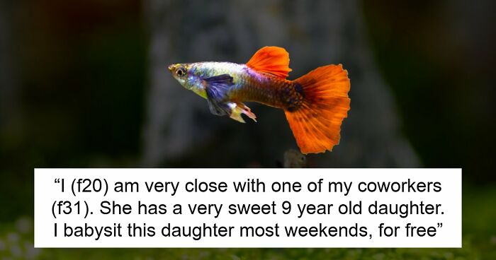9YO Hurts Babysitter’s Fish And Mom Dismisses It, Babysitter Cuts Her Off And Suggests Therapy