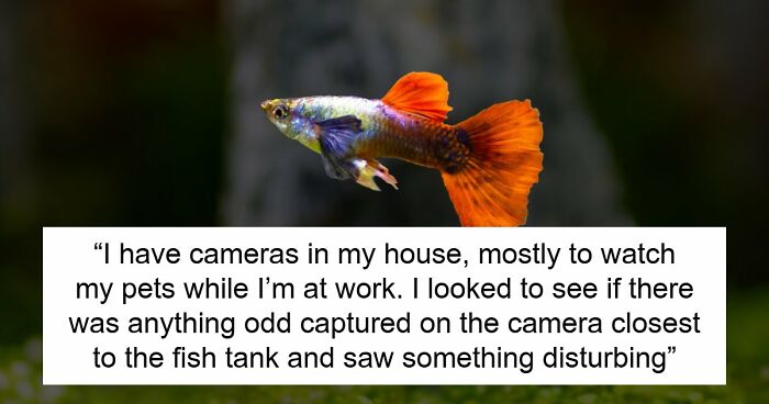 9YO Hurts Babysitter’s Fish And Mom Dismisses It, Babysitter Cuts Her Off And Suggests Therapy