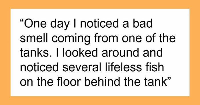 9YO Hurts Babysitter’s Fish And Mom Dismisses It, Babysitter Cuts Her Off And Suggests Therapy