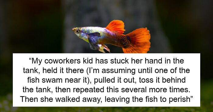 9YO Hurts Babysitter’s Fish And Mom Dismisses It, Babysitter Cuts Her Off And Suggests Therapy