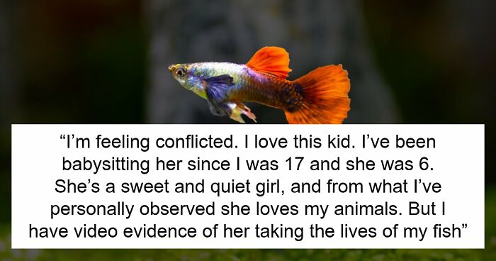 9YO Hurts Babysitter’s Fish And Mom Dismisses It, Babysitter Cuts Her Off And Suggests Therapy