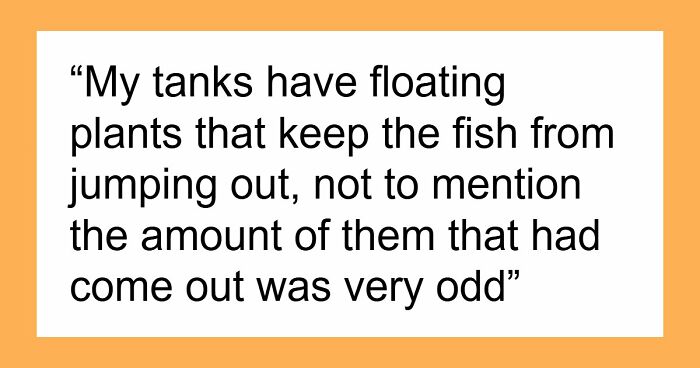 9YO Hurts Babysitter’s Fish And Mom Dismisses It, Babysitter Cuts Her Off And Suggests Therapy