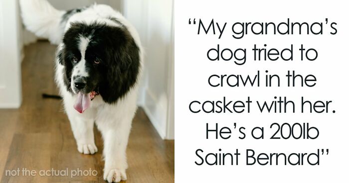 67 Funeral Stories That Spiraled Completely Out Of Control