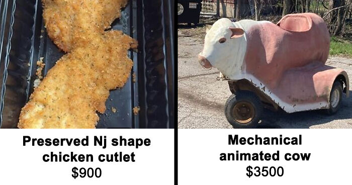 If You Can Think Of It, It’s Already On Facebook Marketplace: Insane Finds From Facebook Marketplace (New Pics)