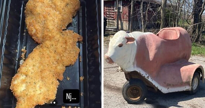 If You Can Think Of It, It’s Already On Facebook Marketplace: Insane Finds From Facebook Marketplace (New Pics)