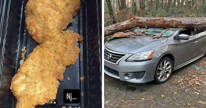 If You Can Think Of It, It’s Already On Facebook Marketplace: Insane Finds From Facebook Marketplace (New Pics)