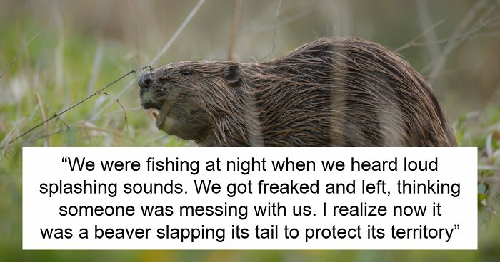 55 Horrifying Tales Of Folks Exploring Creepy Remote Areas And Immediately Regretting It
