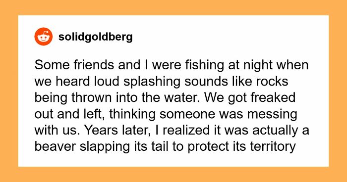 55 Horrifying Tales Of Folks Exploring Creepy Remote Areas And Immediately Regretting It