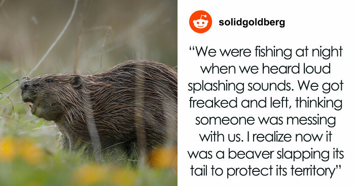 55 Horrifying Tales Of Folks Exploring Creepy Remote Areas And Immediately Regretting It