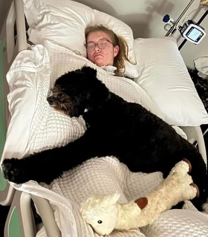 Woman resting in hospital bed with a black dog lying on top, showing a comforting hospital scene