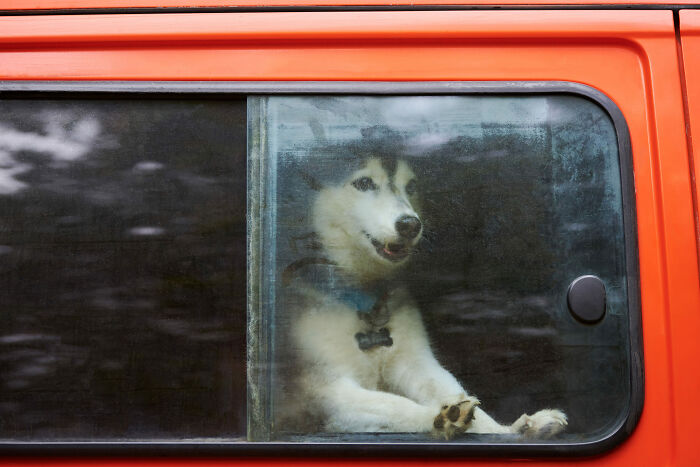 49 Unexplainable And Eerie Things People Spotted In Their Photos Long After Taking Them