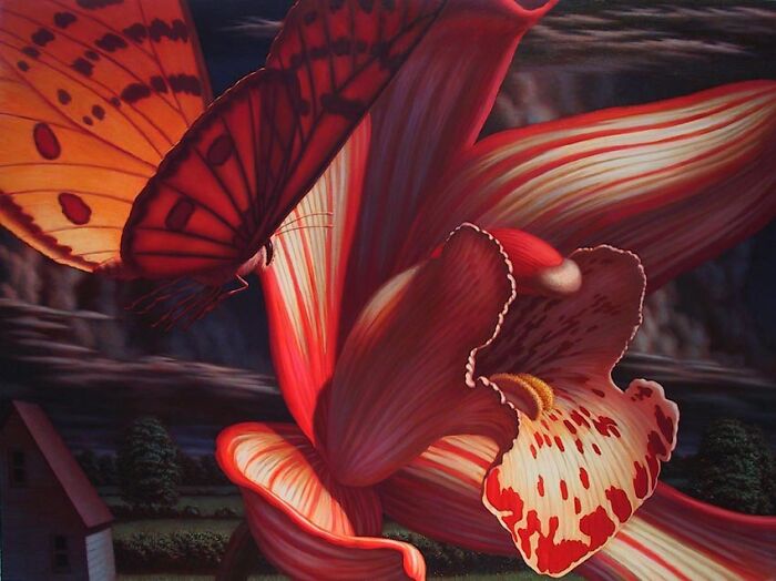 “Cymbidium And Butterfly”