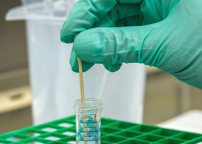Gloved hand handling a test tube with liquid in a science lab environment