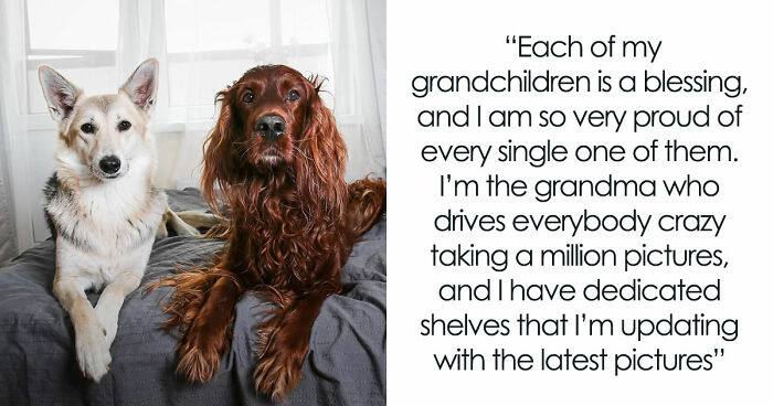 Childfree Daughter Wants Mom To Treat Her Dogs Like Grandkids, Unleashes A Family Jealousy Feud