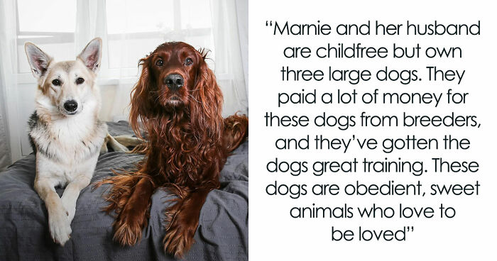 Childfree Daughter Wants Mom To Treat Her Dogs Like Grandkids, Unleashes A Family Jealousy Feud