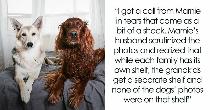 Childfree Daughter Wants Mom To Treat Her Dogs Like Grandkids, Unleashes A Family Jealousy Feud