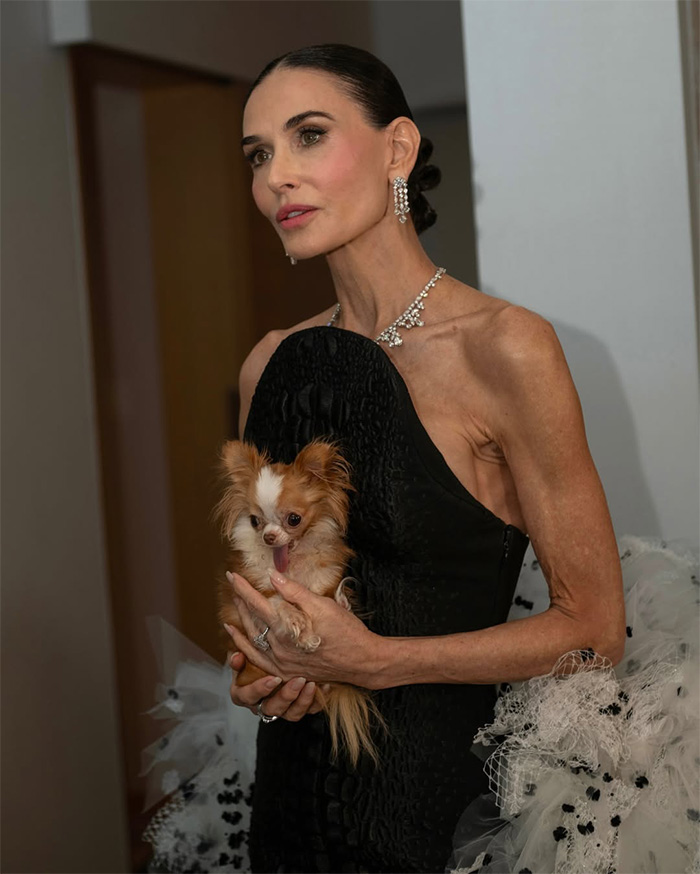 Demi Moore corre o risco de ser expulsa do tapete vermelho de Cannes ao ignorar as novas regras com vestido roxo