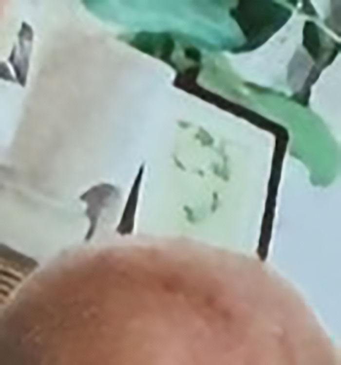 A close-up of a birthday post for Prince Archie, showing a blurry detail many found creepy.