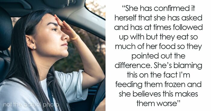 Guy’s Mistress-Turned-Wife Keeps Insulting His Ex’s Frozen Food, Whines As She Brutally Snubs Her