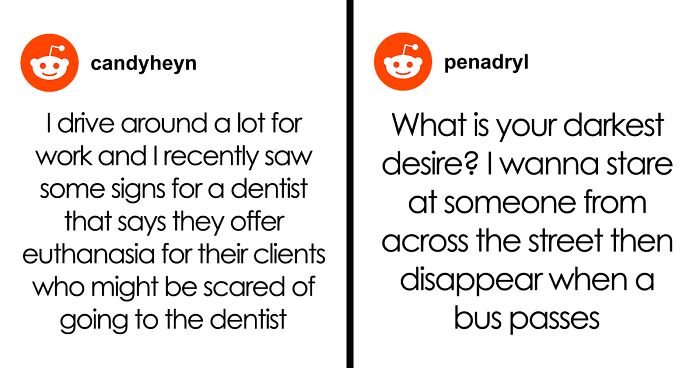 61 Hilariously Dumb Things People Said Online That Are Painful But Funny To Read