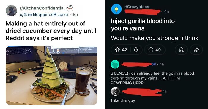 61 Hilariously Dumb Things People Said Online That Are Painful But Funny To Read