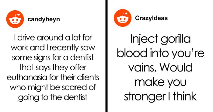 61 Hilariously Dumb Things People Said Online That Are Painful But Funny To Read
