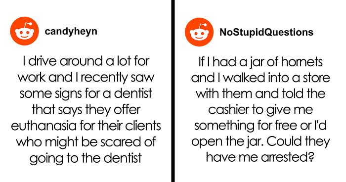 61 Hilariously Dumb Things People Said Online That Are Painful But Funny To Read