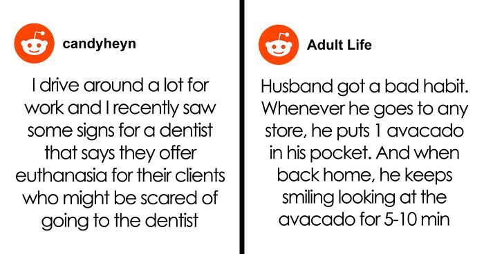 61 Hilariously Dumb Things People Said Online That Are Painful But Funny To Read