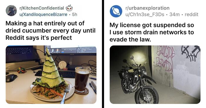 61 Hilariously Dumb Things People Said Online That Are Painful But Funny To Read