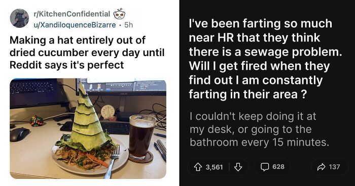 61 Hilariously Dumb Things People Said Online That Are Painful But Funny To Read