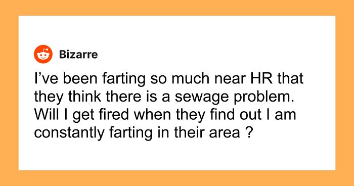 61 Hilariously Dumb Things People Said Online That Are Painful But Funny To Read