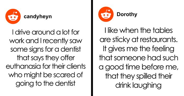 61 Hilariously Dumb Things People Said Online That Are Painful But Funny To Read