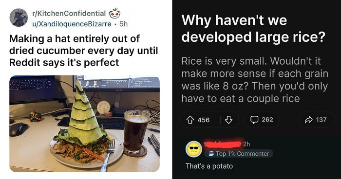 61 Hilariously Dumb Things People Said Online That Are Painful But Funny To Read