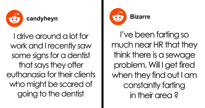 61 Hilariously Dumb Things People Said Online That Are Painful But Funny To Read