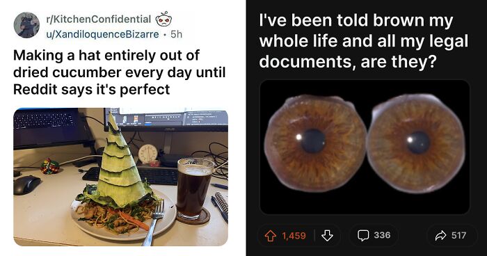 61 Hilariously Dumb Things People Said Online That Are Painful But Funny To Read