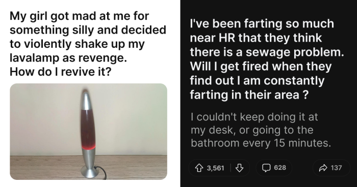 61 Hilariously Dumb Things People Said Online That Are Painful But Funny To Read