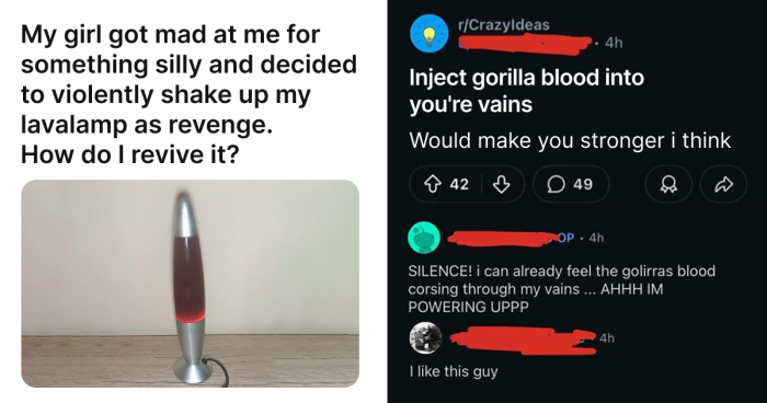 61 Hilariously Dumb Things People Said Online That Are Painful But Funny To Read