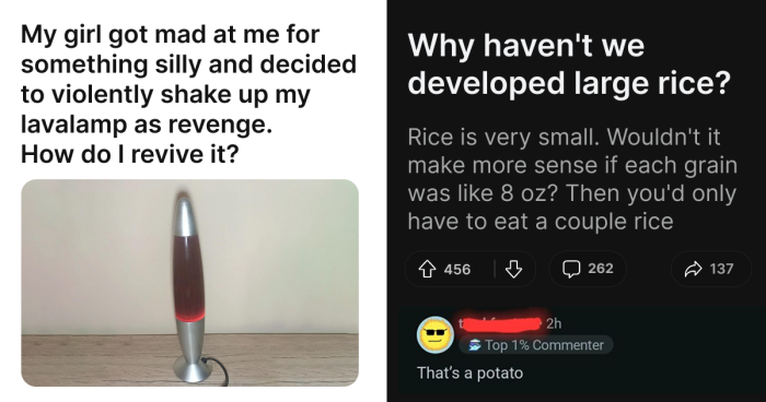 61 Hilariously Dumb Things People Said Online That Are Painful But Funny To Read