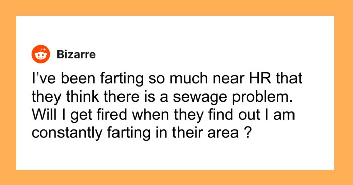 61 Hilariously Dumb Things People Said Online That Are Painful But Funny To Read