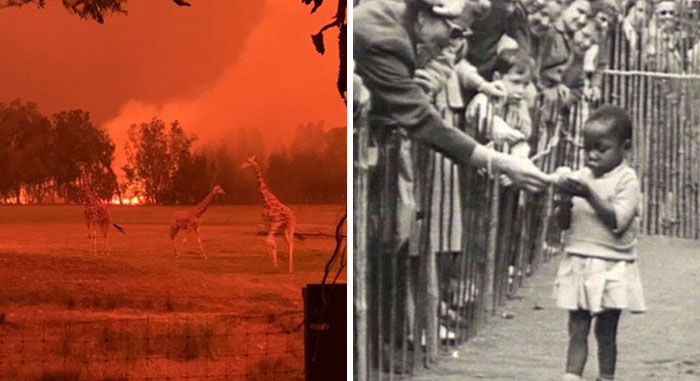 “Not Our Greatest Moment In History”: 34 Historical Photos From Around The World That Are Extremely Dystopian