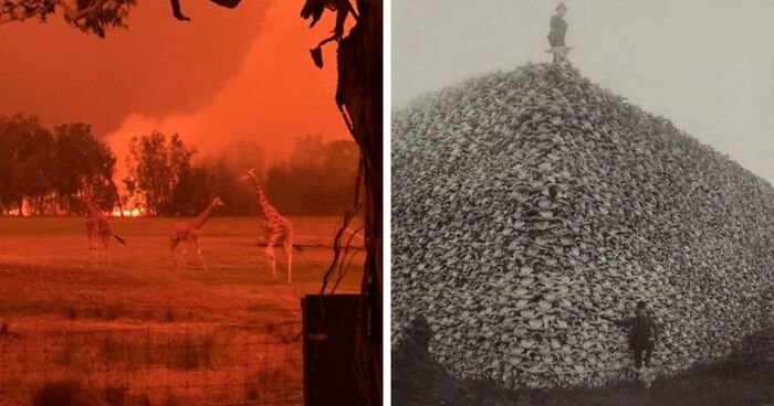 “Not Our Greatest Moment In History”: 34 Historical Photos From Around The World That Are Extremely Dystopian