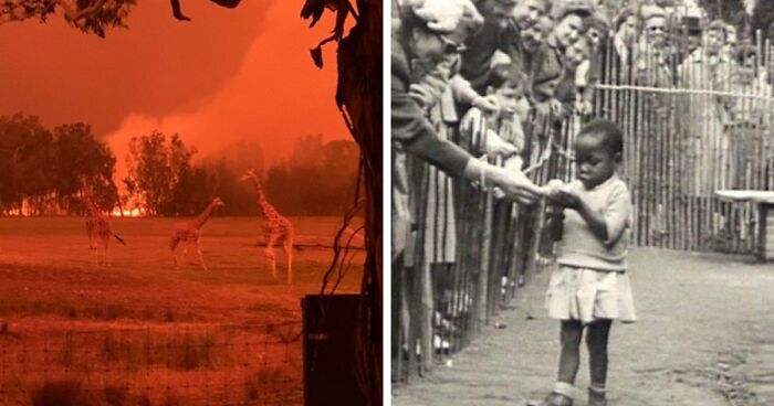 “Not Our Greatest Moment In History”: 34 Historical Photos From Around The World That Are Extremely Dystopian