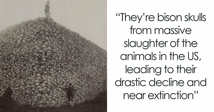 “Not Our Greatest Moment In History”: 34 Historical Photos From Around The World That Are Extremely Dystopian