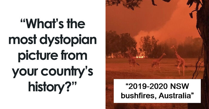 “Not Our Greatest Moment In History”: 34 Historical Photos From Around The World That Are Extremely Dystopian