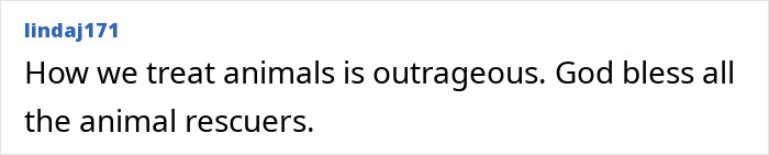 Comment praising animal rescuers and treatment of animals
