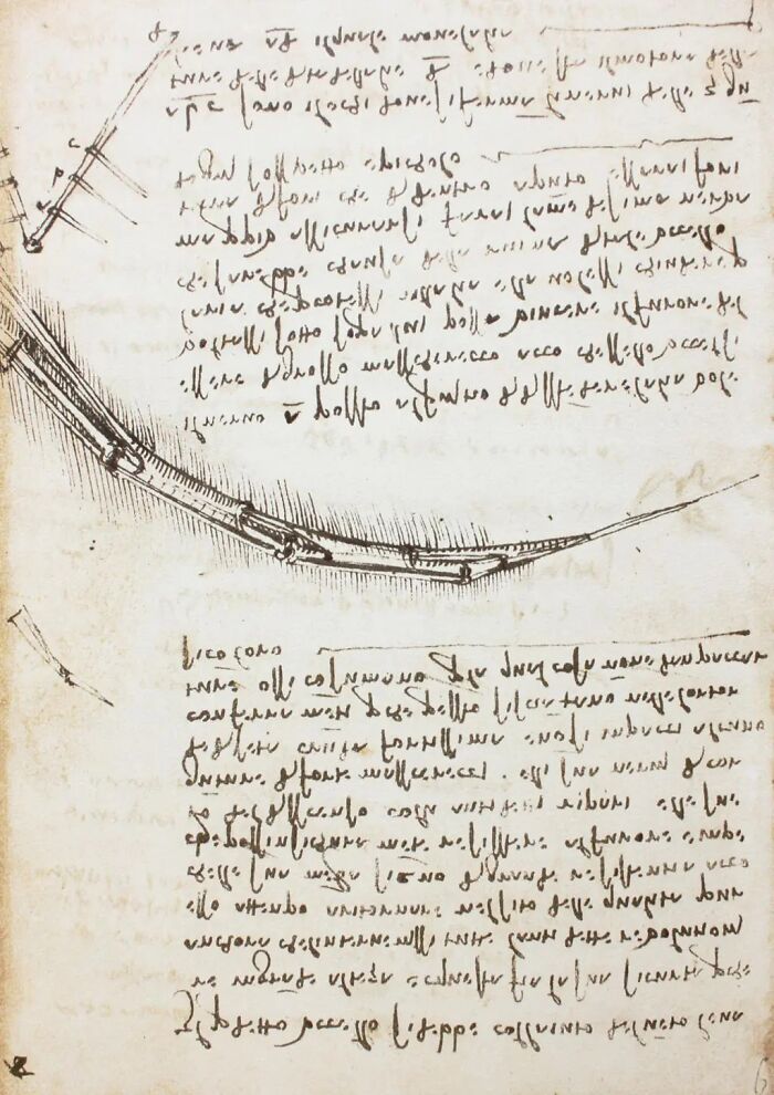 $30.8 Million, The Codex Leicester — Leonardo Da Vinci