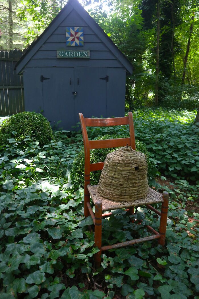 Early America historic pieces: a vintage beehive skep on a chair near a garden shed, surrounded by lush ivy.