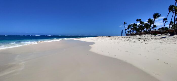 Rare moment at empty tropical beach with clear blue sky and palm trees
