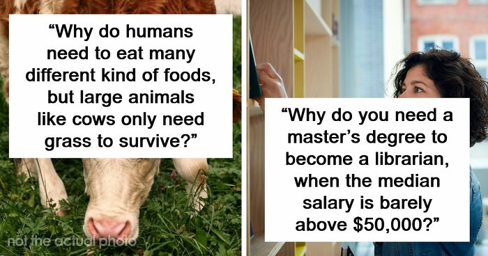 79 Questions People Had About The World And Others Answered Them Like They Were 5